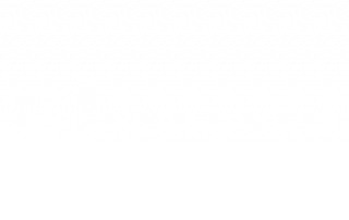 Elemis Logo